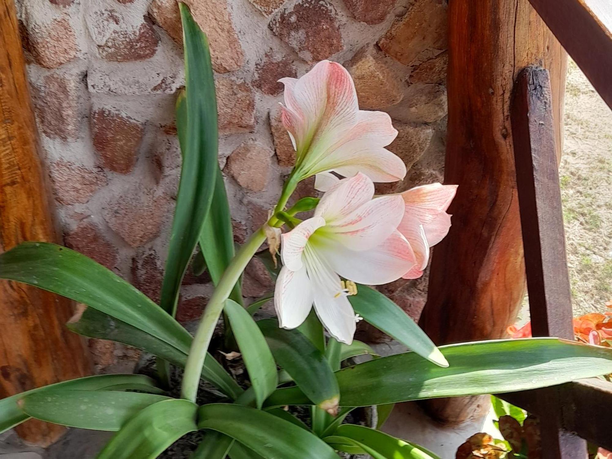 Pousada Vale Encantado Serra de São Bento Buitenkant foto